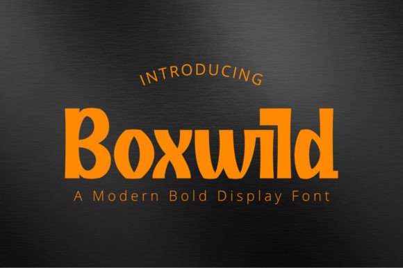 Boxwild Typeface: A Steady Display Font for Editorial Design